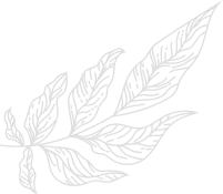 ClickNaukri Logo